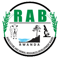 RAB