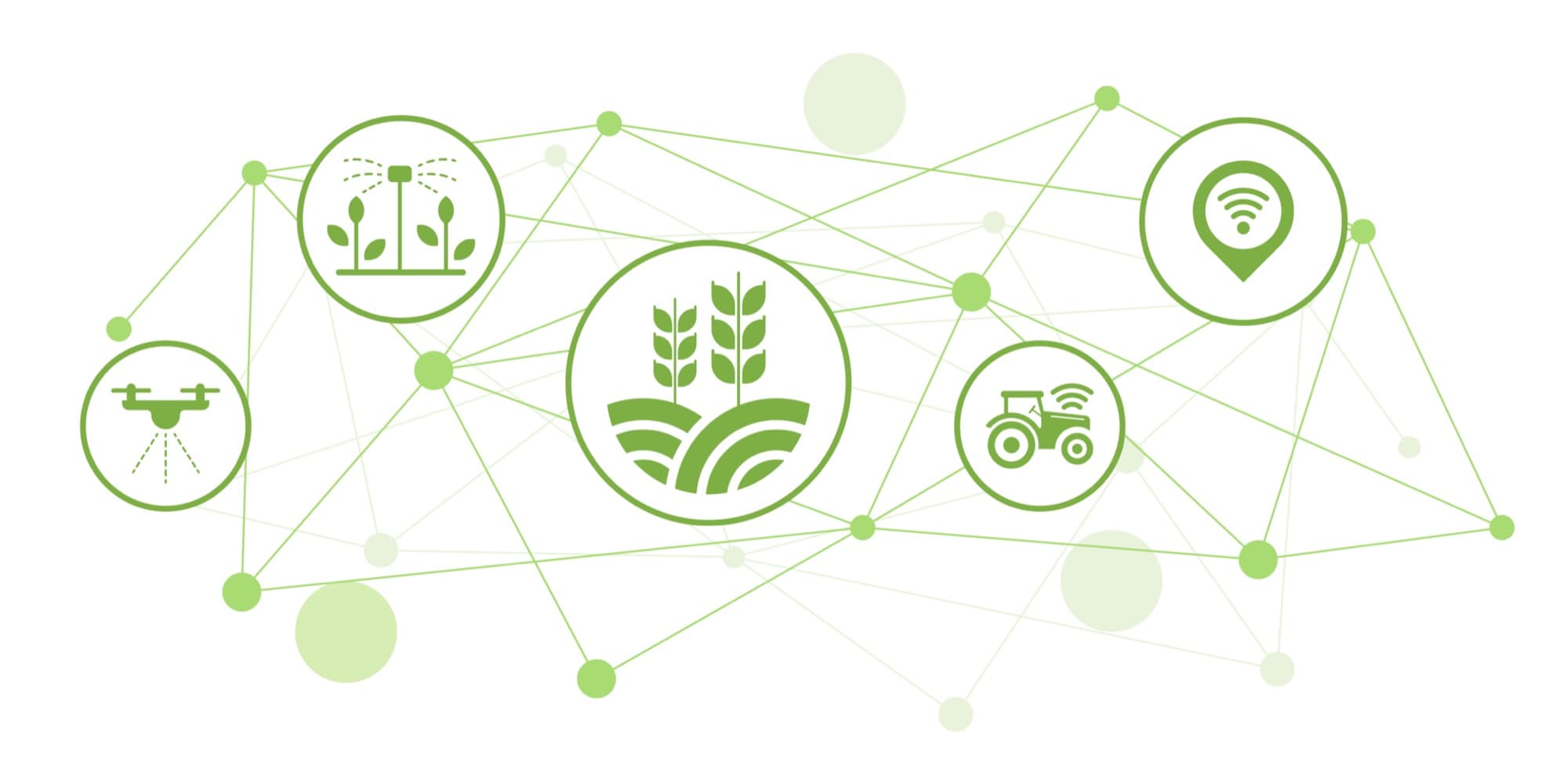 Food systems research and innovation
