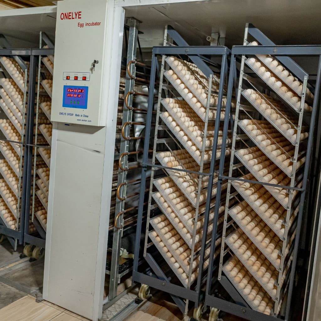 Industrial food production and incubation facility